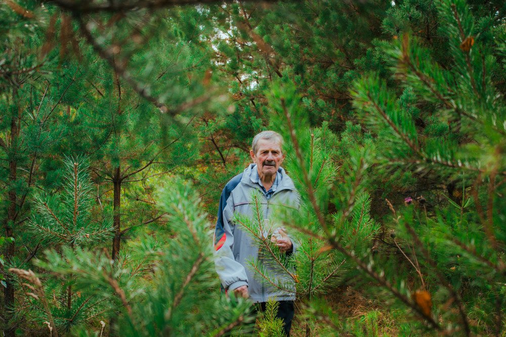 Сказочными лесными тропами..