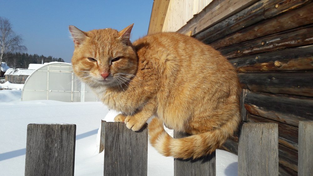 Photograph by Мария Глотова