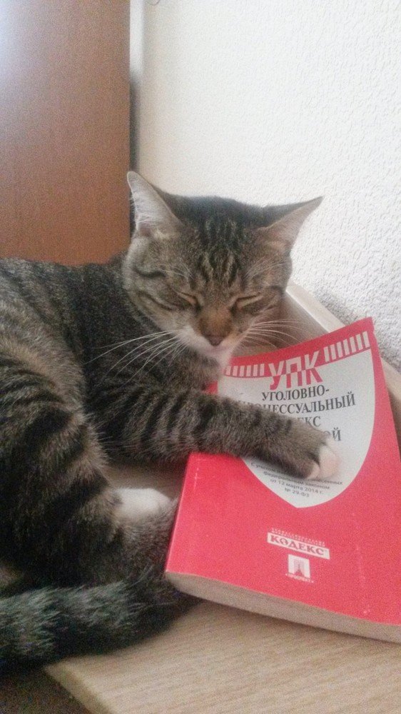 Photograph by Мария Глотова