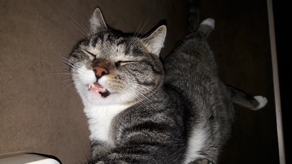 Photograph by Мария Глотова