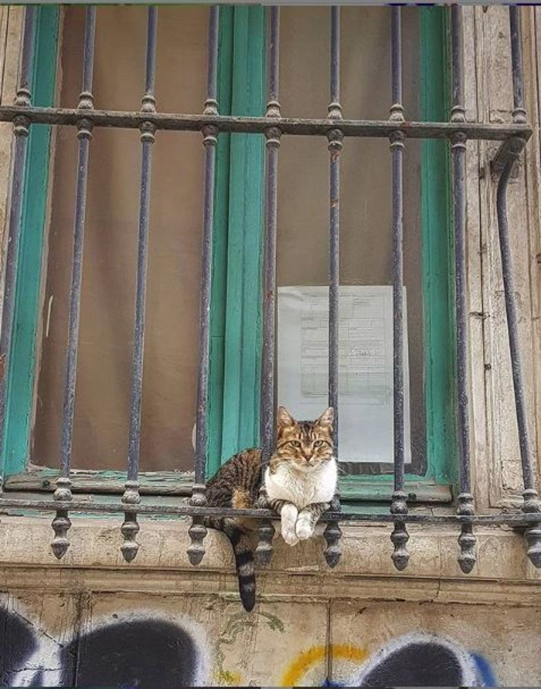 Photograph by Aymy Emel