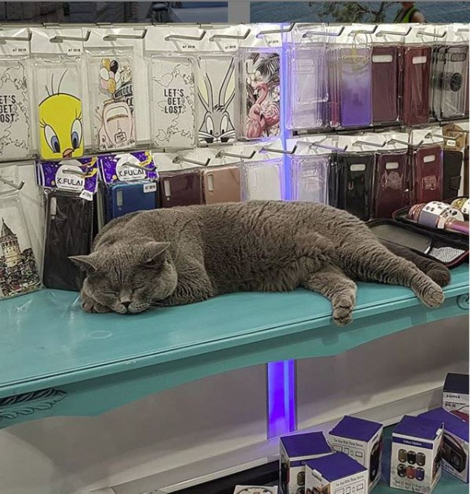 Photograph by Aymy Emel