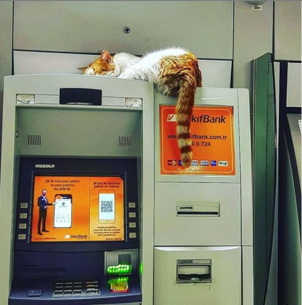 Photograph by Aymy Emel