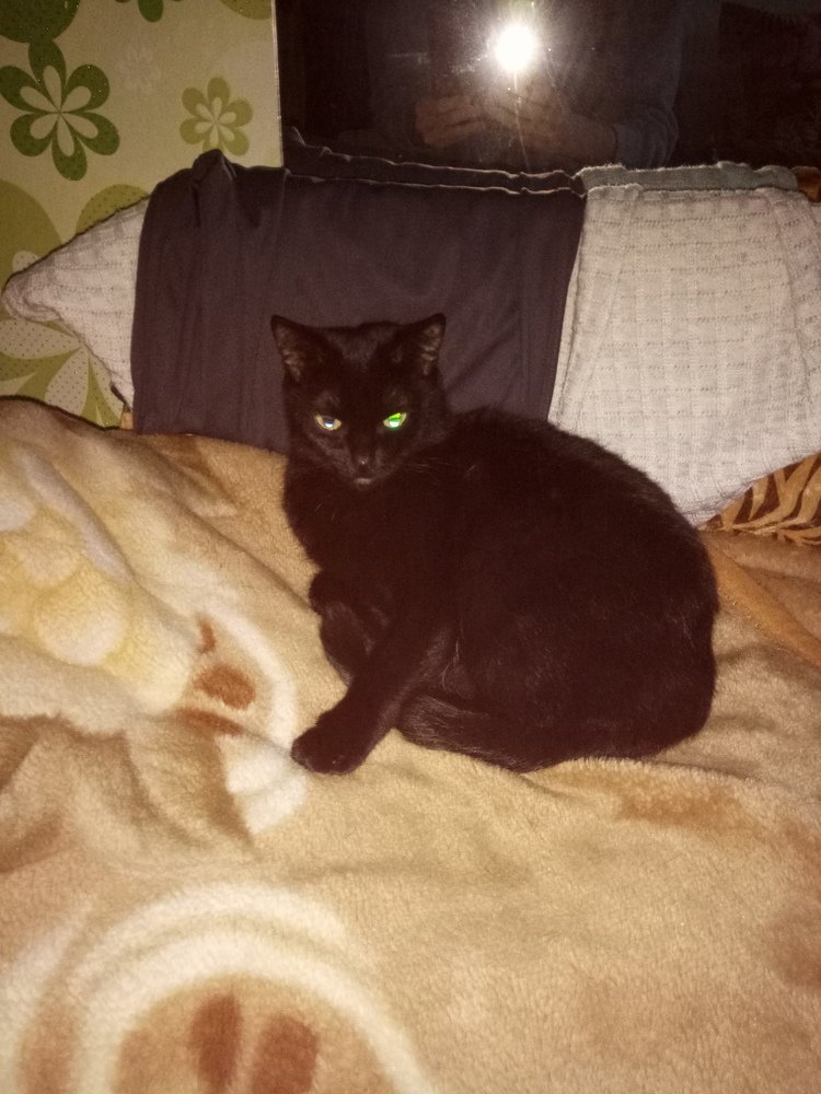 Photograph by Илья Поляков