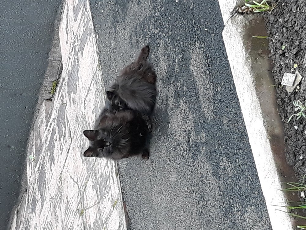 Photograph by Илья Поляков