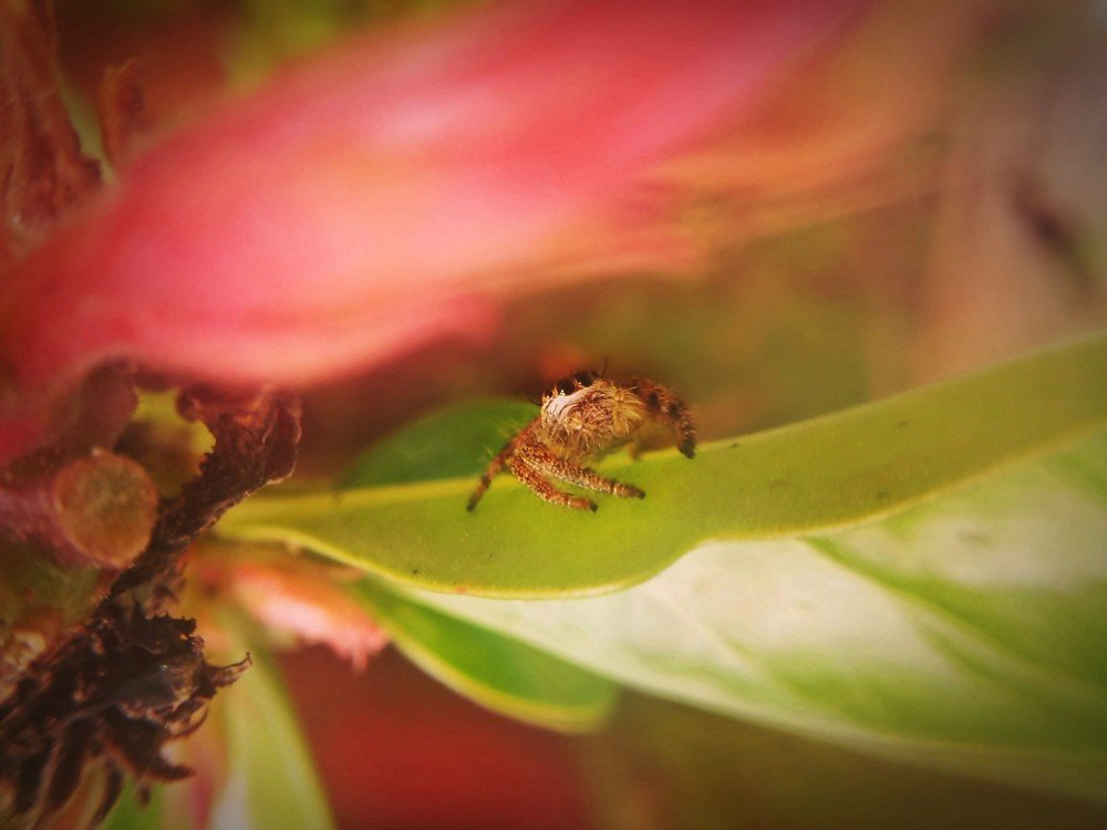 Photograph by Ruyat Ruyat Supriazi