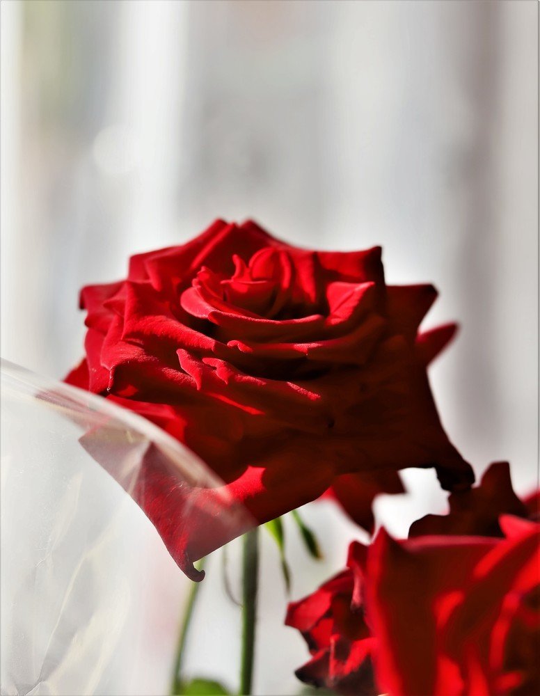 Photograph by Андрей Телибаев