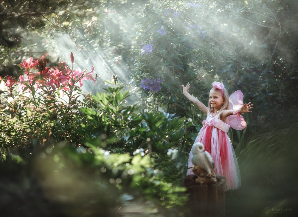 Сказочный сад