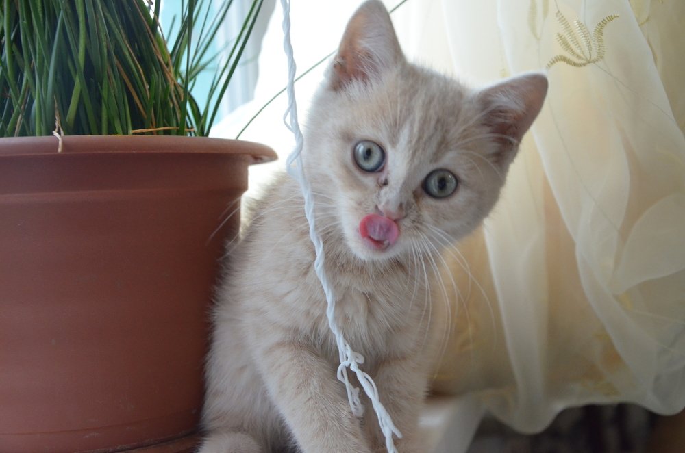 Фотография автора Наталья Узунова