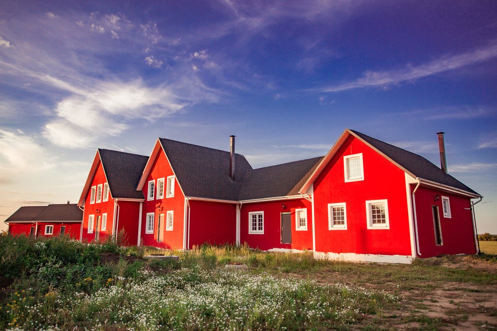 Photograph by Светлана Демина