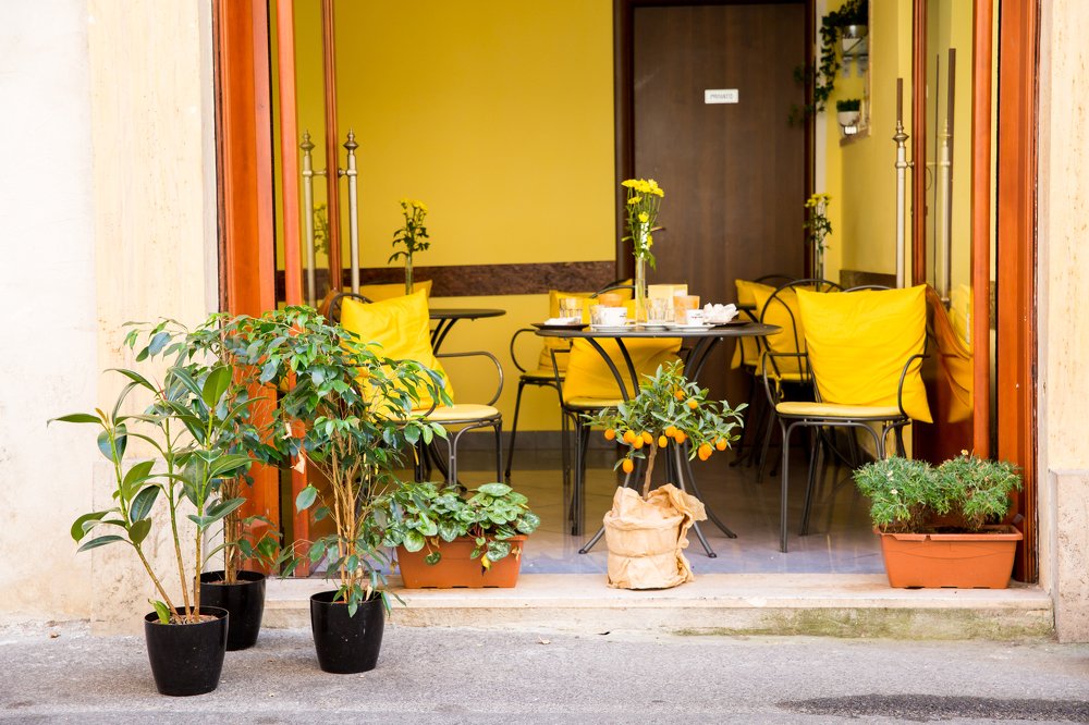 Photograph by Светлана Демина