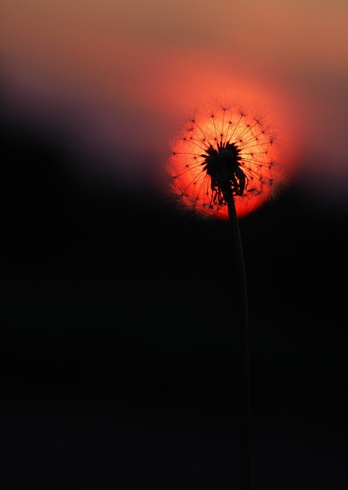 Photograph by Наталья