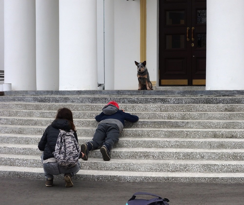 Фото лучшего друга