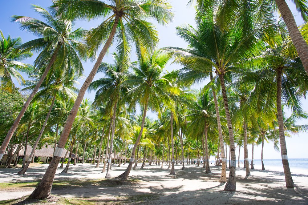 Photograph by Светлана Демина