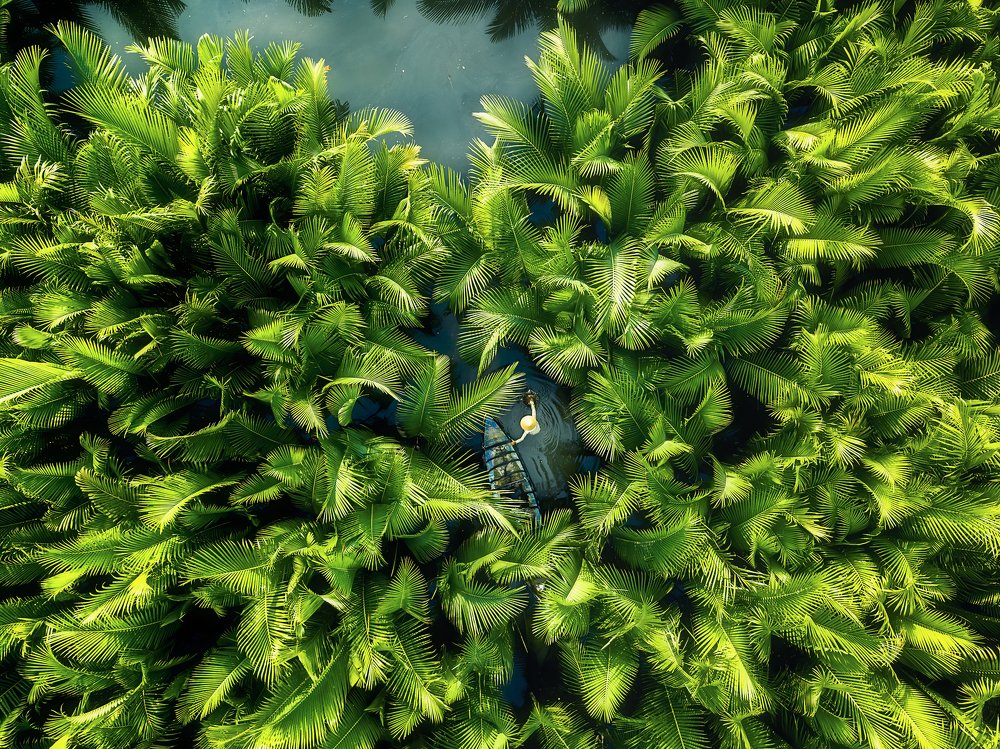 Photograph by Trung Luong