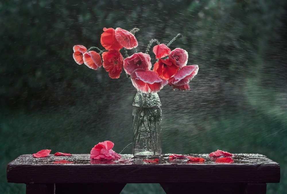 Photograph by Юлия Яремко