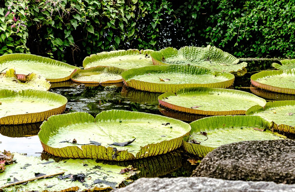 Photograph by Валерий Гончаров