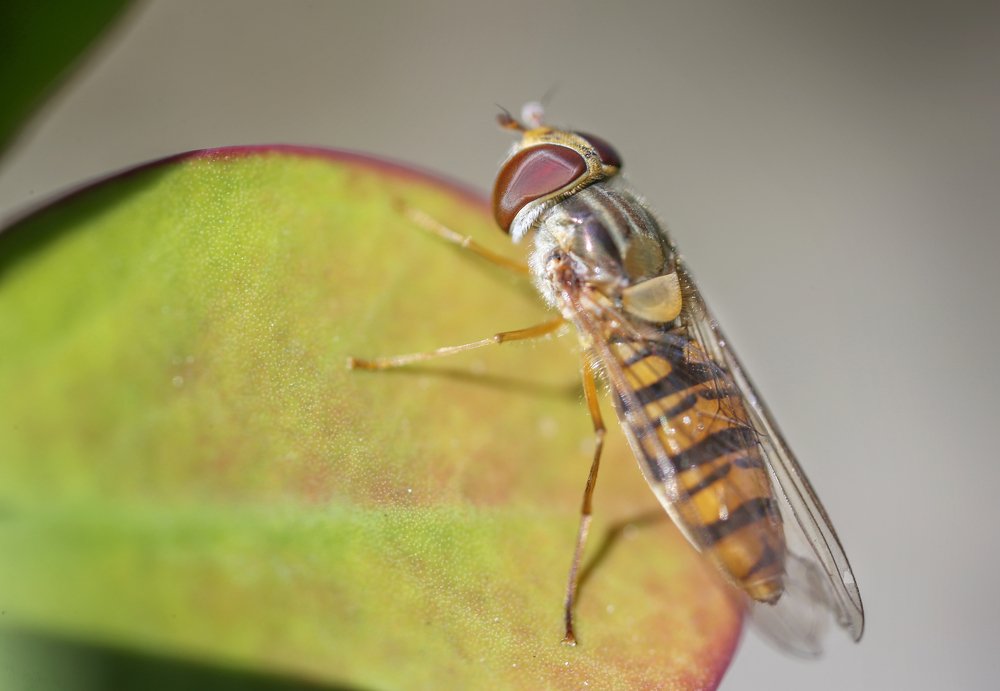 Photograph by Мария Самохина