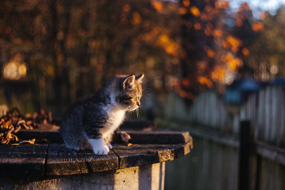 Photograph by Татьяна Афиногенова