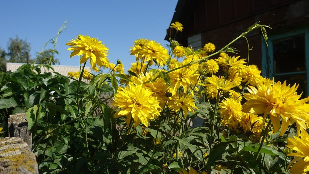 Фотография автора Александр Комаров