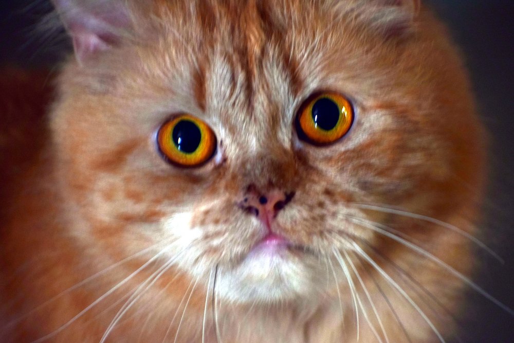 Photograph by s s subrahmanyam