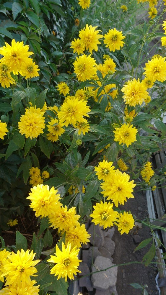 Фотография автора Александр Комаров