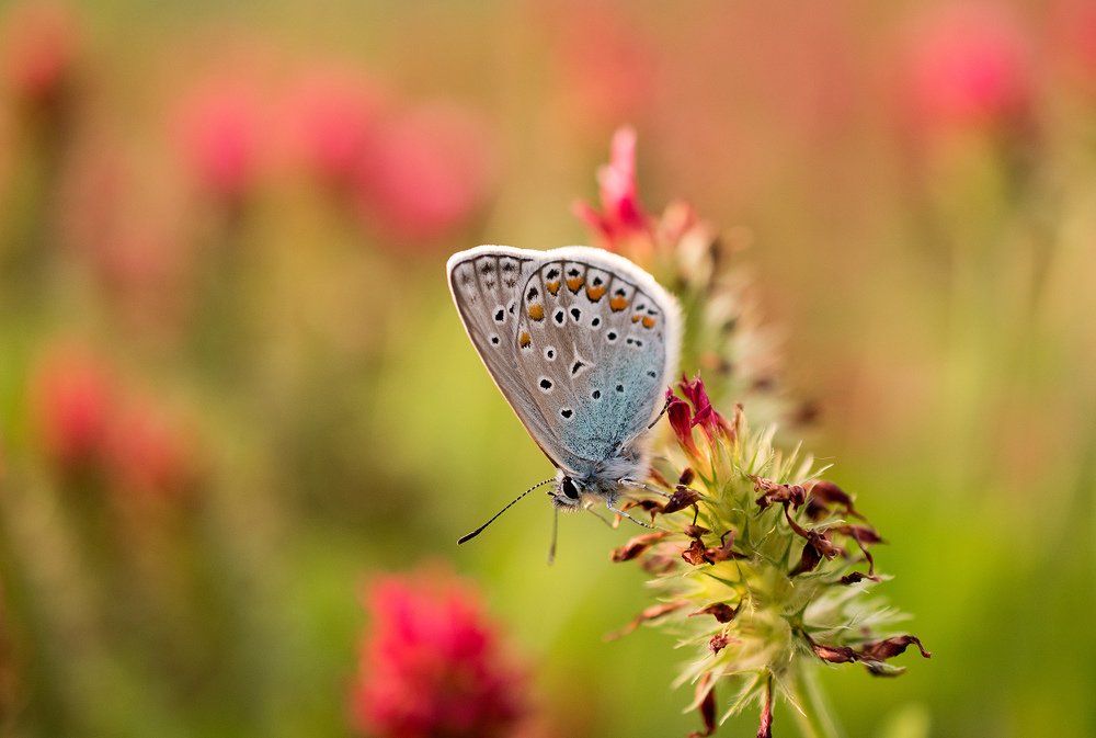 Photograph by Lucie Mojžíšová