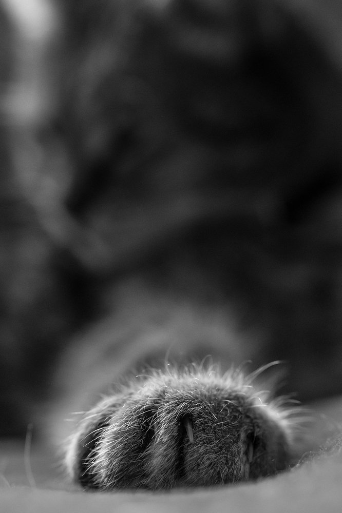 Photograph by Lucie Mojžíšová