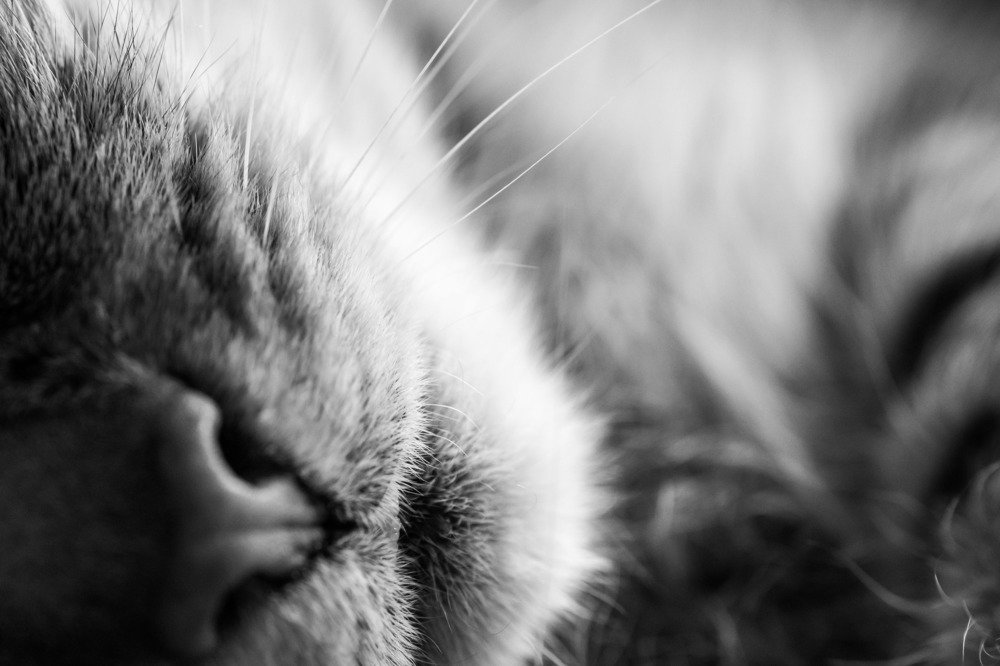 Photograph by Lucie Mojžíšová