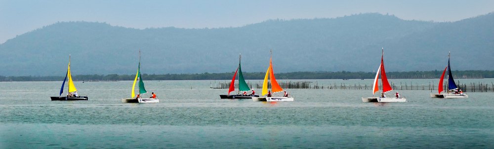 Фотография автора MINH GIẢNG PHẠM