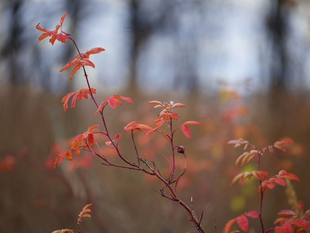 Photograph by Рустем Хайруллин