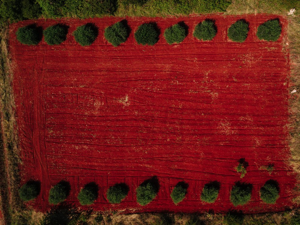 Photograph by Alexey Nikitin