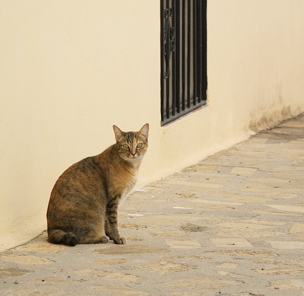 Photograph by Nastja Asipkina