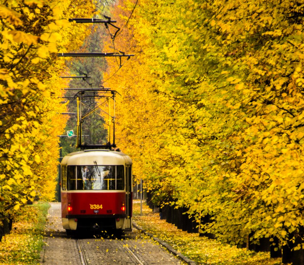 осень в ПРАГЕ