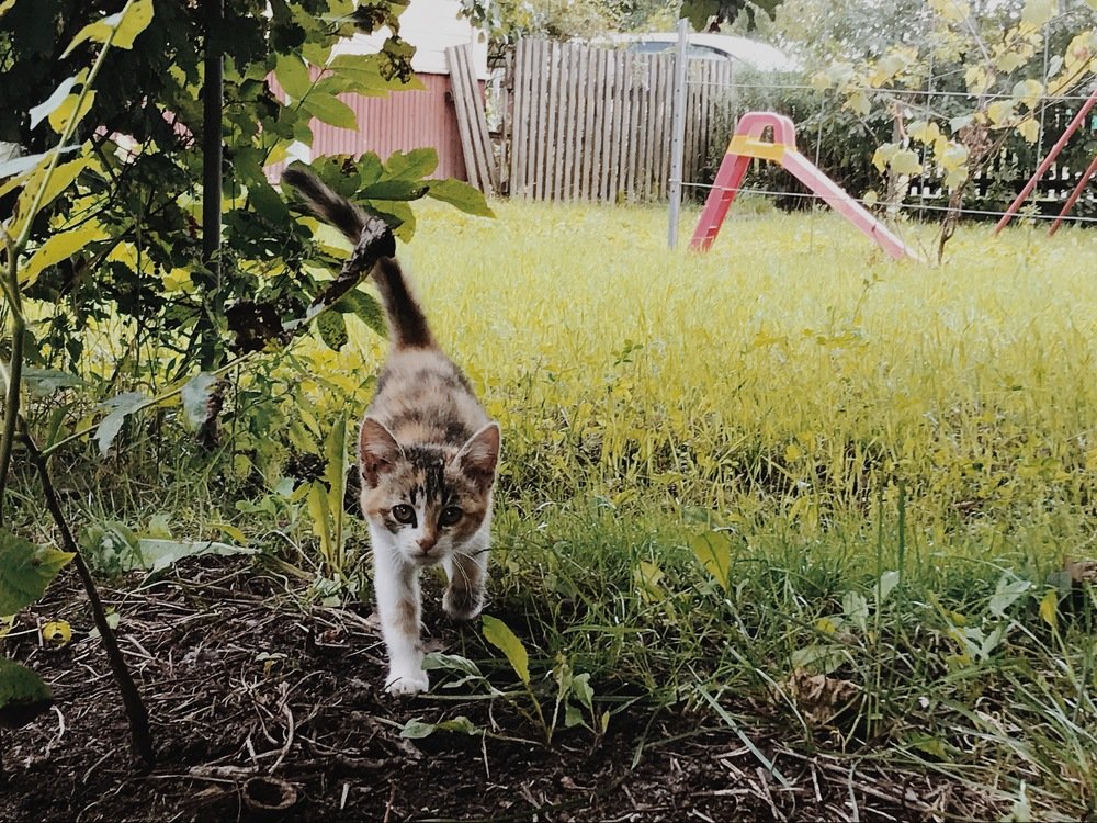 Photograph by Дмитрий Гришкевич