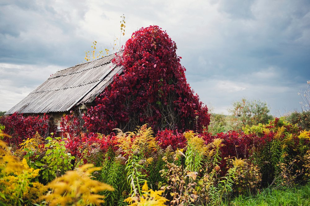 Photograph by Яна Краснопевцева