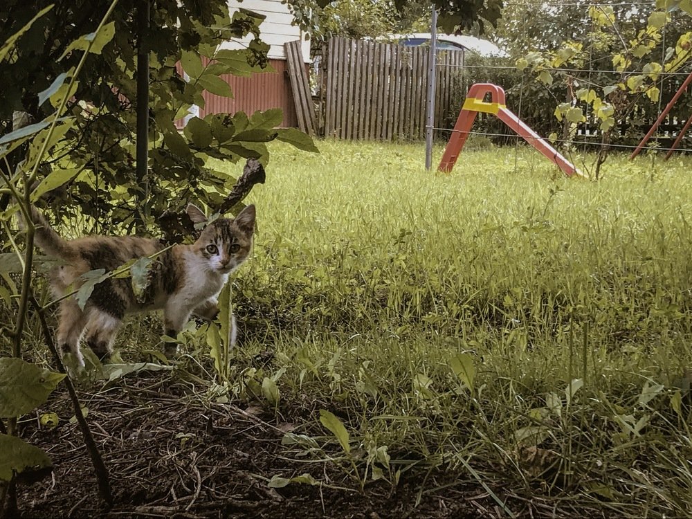 Photograph by Дмитрий Гришкевич