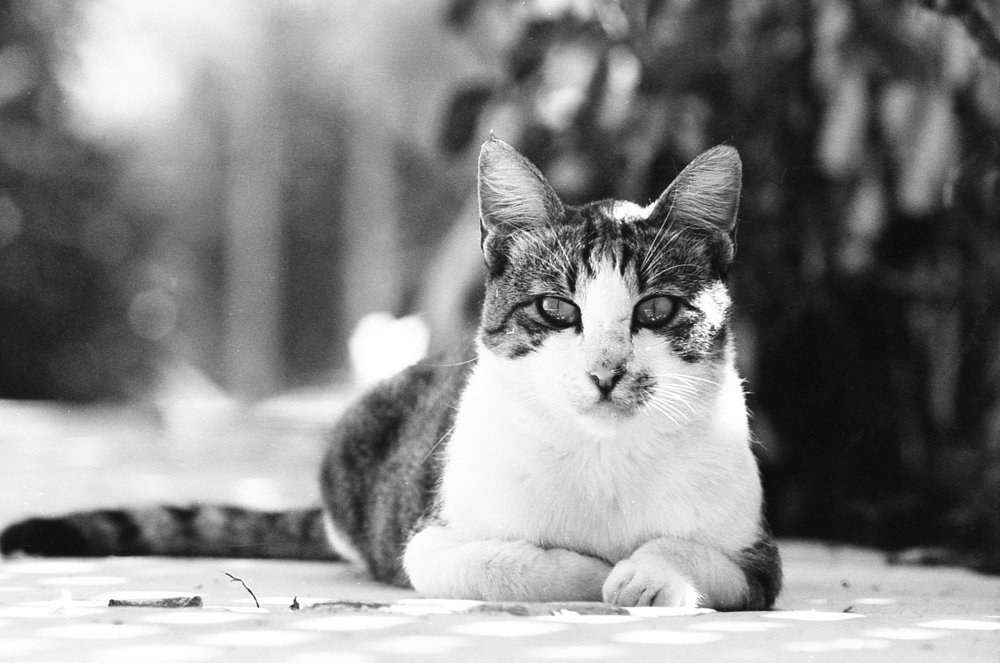 Photograph by Максим Селиванов