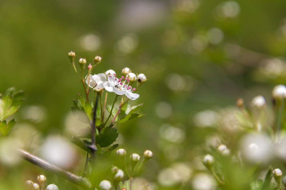 Фотография автора Ольга Тайчинова
