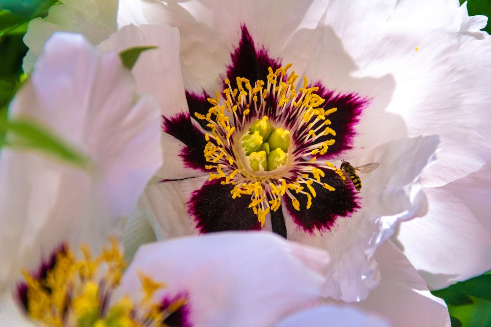 Фотография автора Ольга Тайчинова