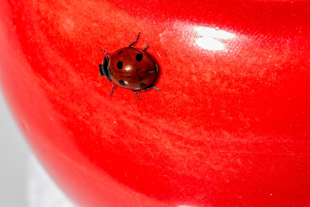 Фотография автора Ebrahim Rahiminezhad