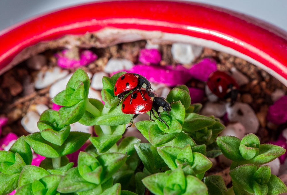 Фотография автора Ebrahim Rahiminezhad