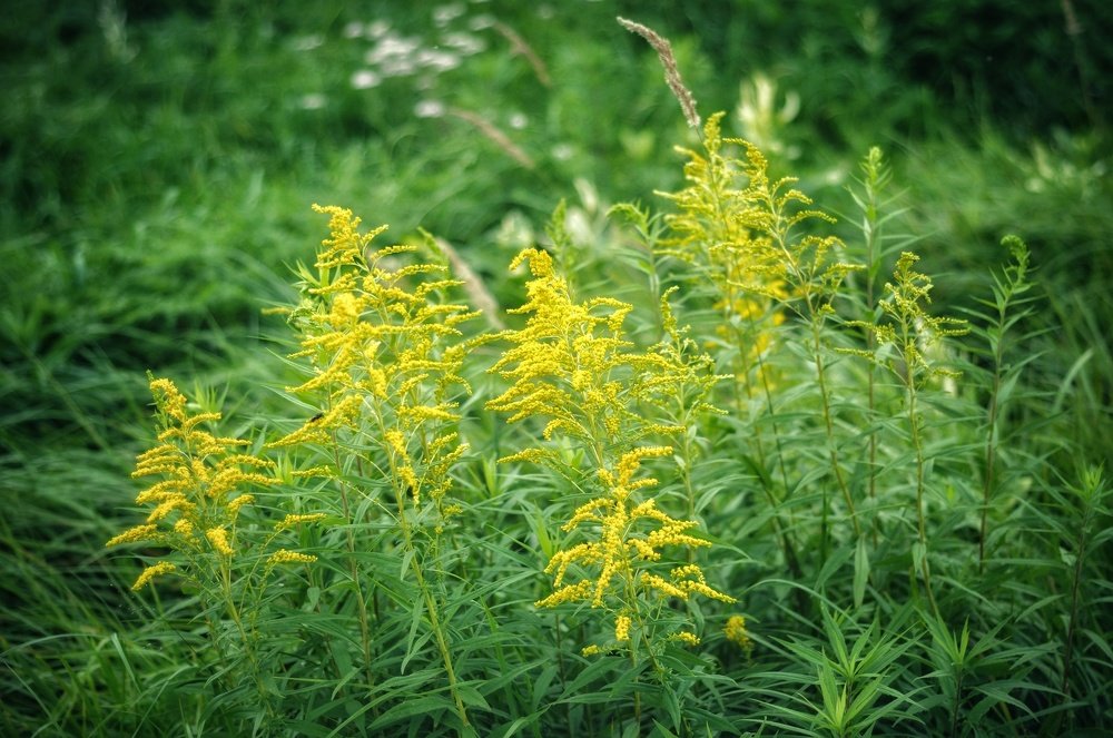 Photograph by Василий Фроленок