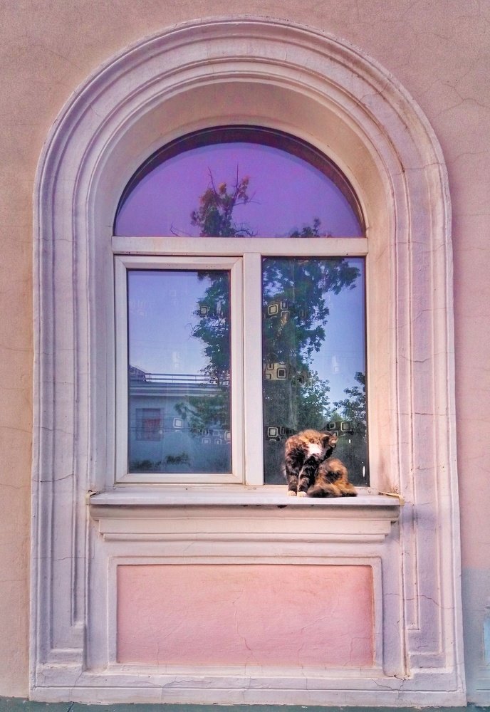 Photograph by Дмитрий Гришкевич