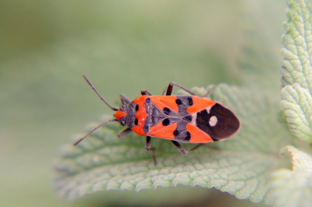 Фотография автора Muhammad Haris