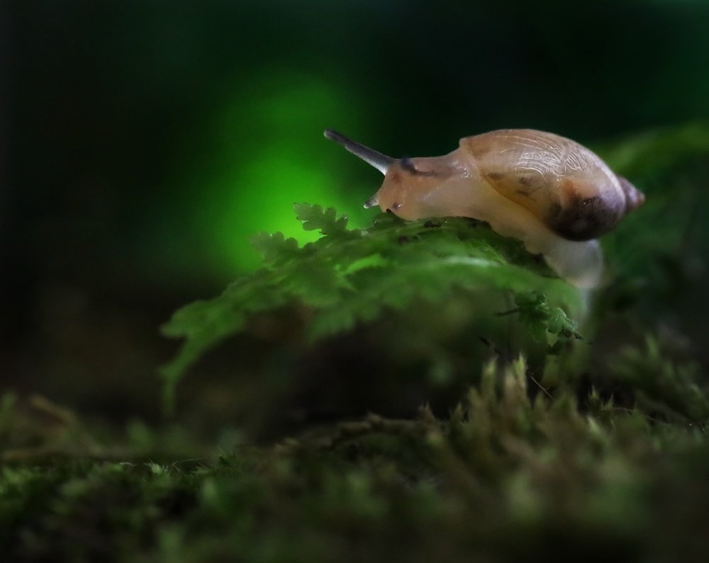 Photograph by Александра Карпцова