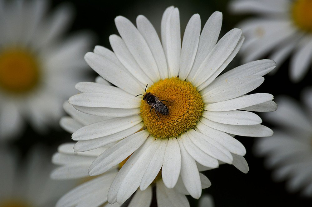 Photograph by Yroslava Veretina