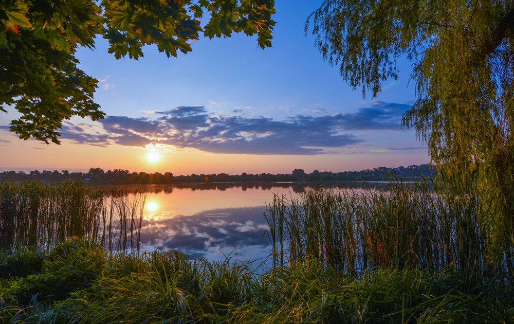 Photograph by Захаров Владимир