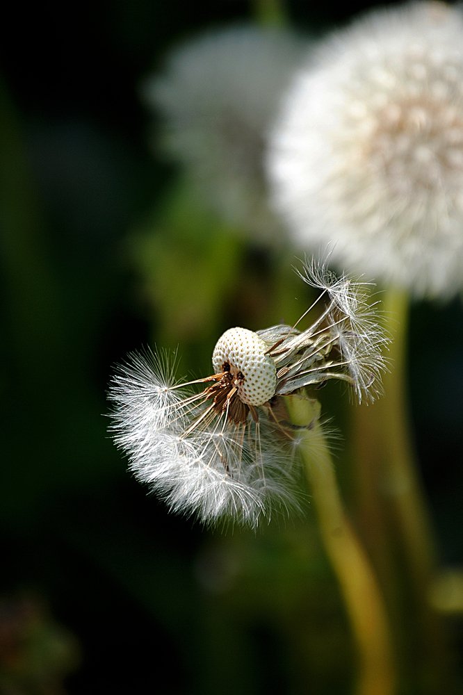 Photograph by Yroslava Veretina