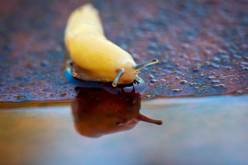 Photograph by Efremenko Nikita